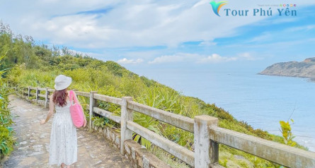 Bãi Môn – Mũi Điện Và Những Điều Bạn Không Nên Bỏ Lỡ 