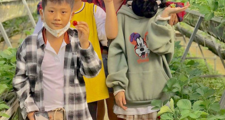 Tham Quan BB Farm Trang Trại Dâu Tươi Và Rau Thủy Canh Tại Phú Yên